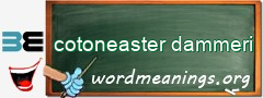 WordMeaning blackboard for cotoneaster dammeri